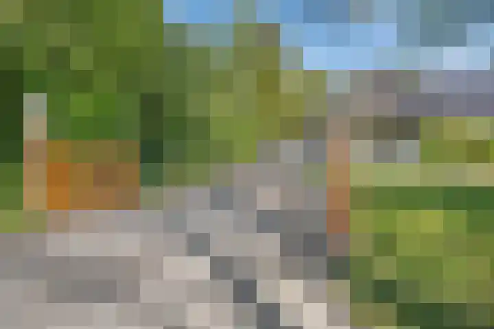 De Oostermaat 3 Westerbork thumbnail 5
