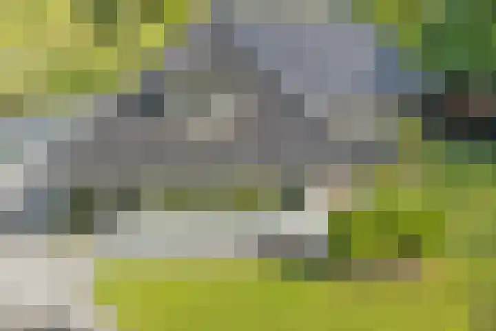 De Oostermaat 3 Westerbork thumbnail 51