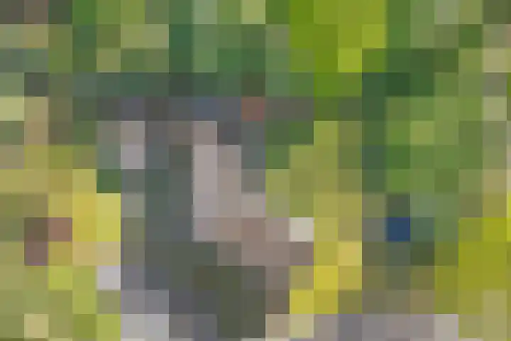 De Oostermaat 3 Westerbork thumbnail 52