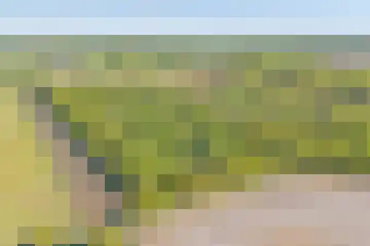 De Oostermaat 3 Westerbork thumbnail 53