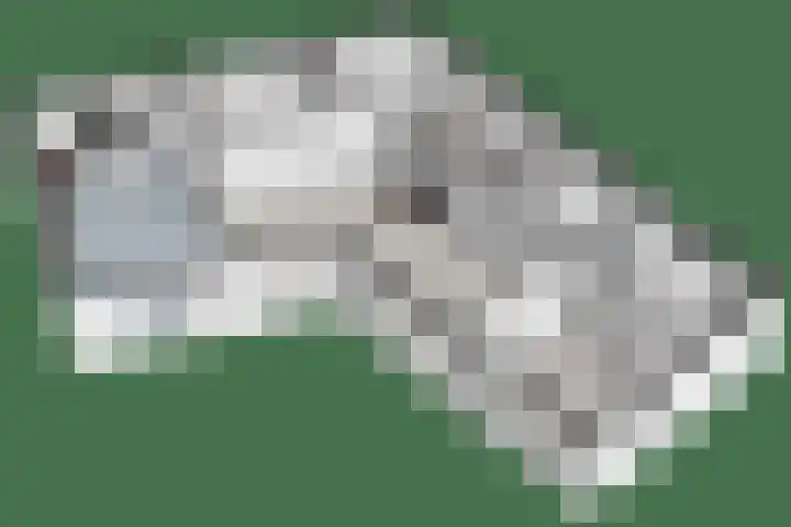 De Oostermaat 3 Westerbork thumbnail 56