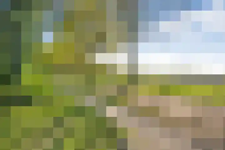 De Oostermaat 3 Westerbork thumbnail 6