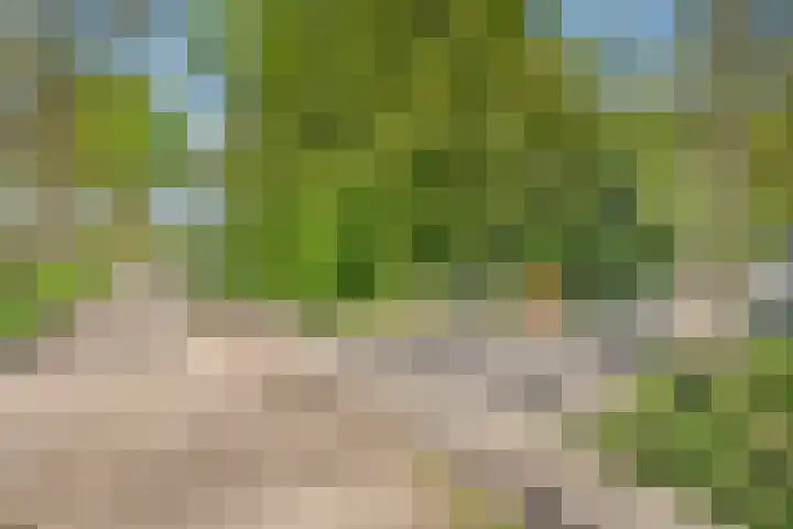 De Oostermaat 3 Westerbork thumbnail 7
