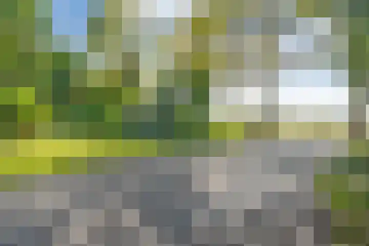 De Oostermaat 3 Westerbork thumbnail 8