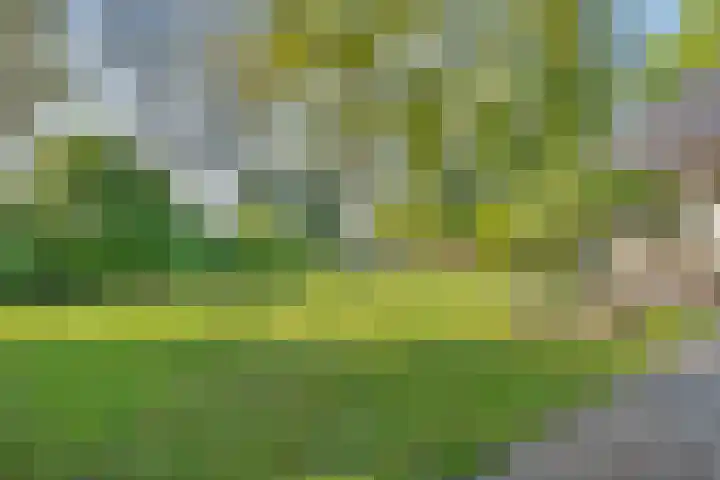 De Oostermaat 3 Westerbork thumbnail 9