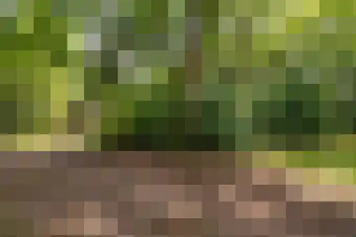 De Oostermaat 38 Westerbork thumbnail 10