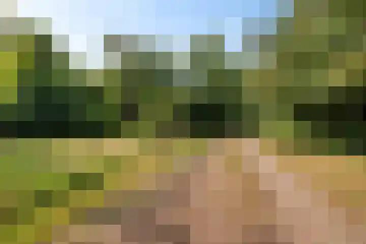 De Oostermaat 38 Westerbork thumbnail 11