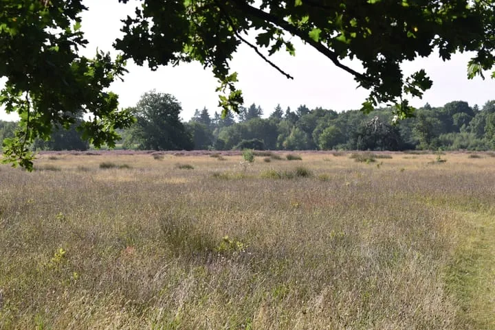 De Oostermaat 38 Westerbork thumbnail 12