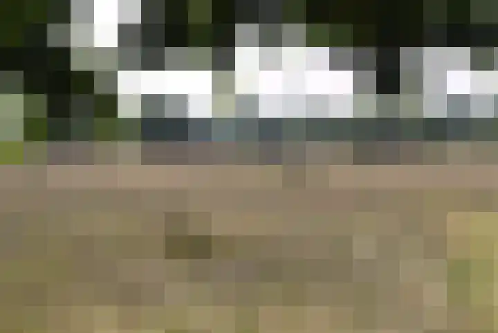 De Oostermaat 38 Westerbork thumbnail 12