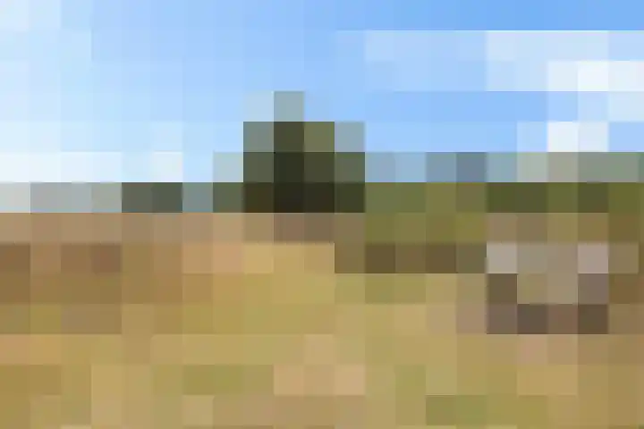 De Oostermaat 38 Westerbork thumbnail 14