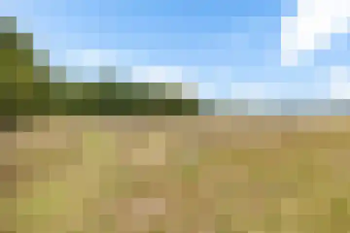 De Oostermaat 38 Westerbork thumbnail 15