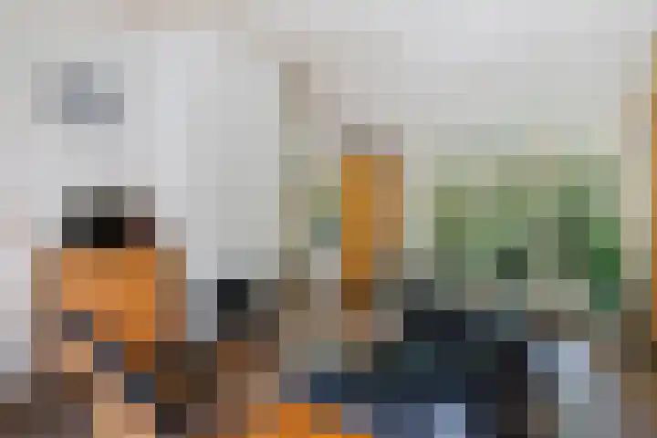 De Oostermaat 38 Westerbork thumbnail 17