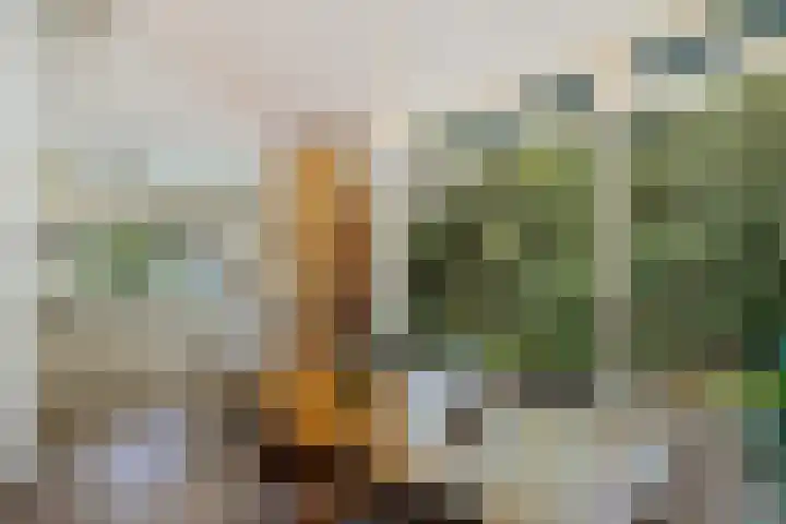 De Oostermaat 38 Westerbork thumbnail 19