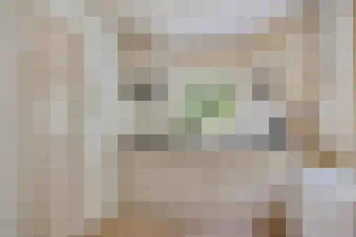 De Oostermaat 38 Westerbork thumbnail 21