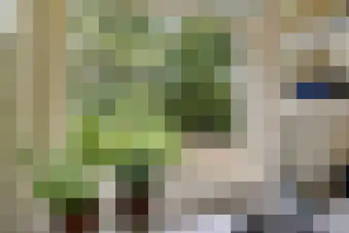 De Oostermaat 38 Westerbork thumbnail 22