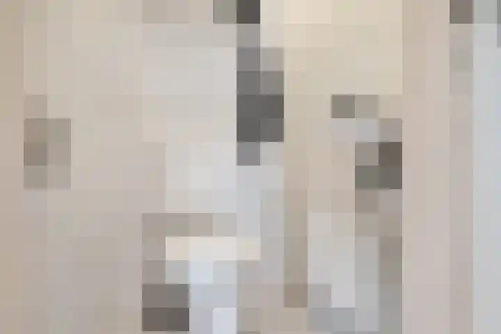 De Oostermaat 38 Westerbork thumbnail 31