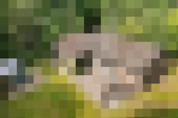 De Oostermaat 38 Westerbork thumbnail 32