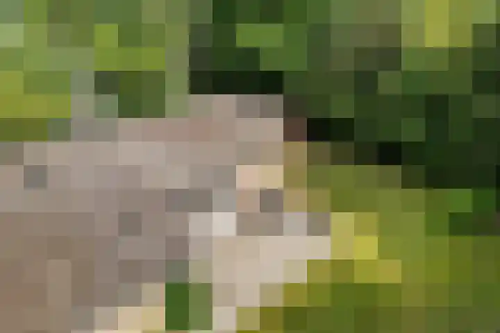 De Oostermaat 38 Westerbork thumbnail 33