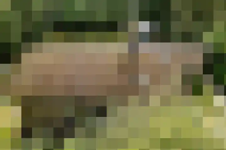De Oostermaat 38 Westerbork thumbnail 35