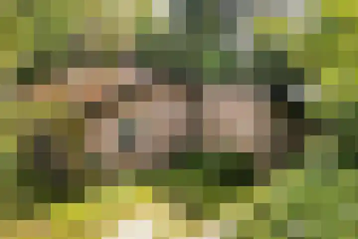 De Oostermaat 38 Westerbork thumbnail 36