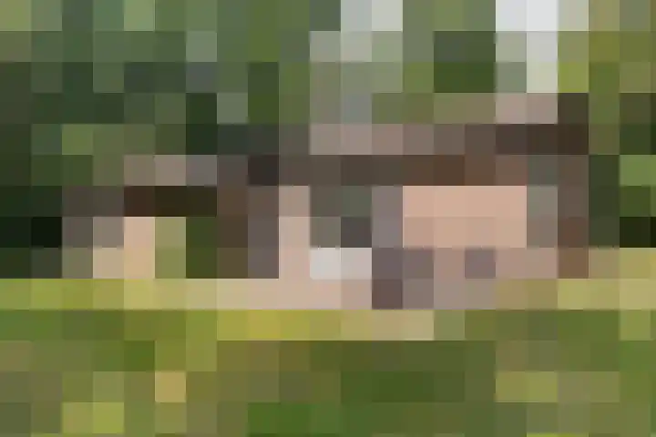 De Oostermaat 38 Westerbork thumbnail 4