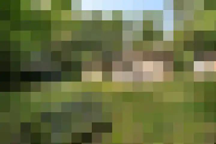 De Oostermaat 38 Westerbork thumbnail 5