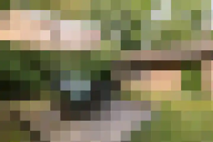 De Oostermaat 38 Westerbork thumbnail 6
