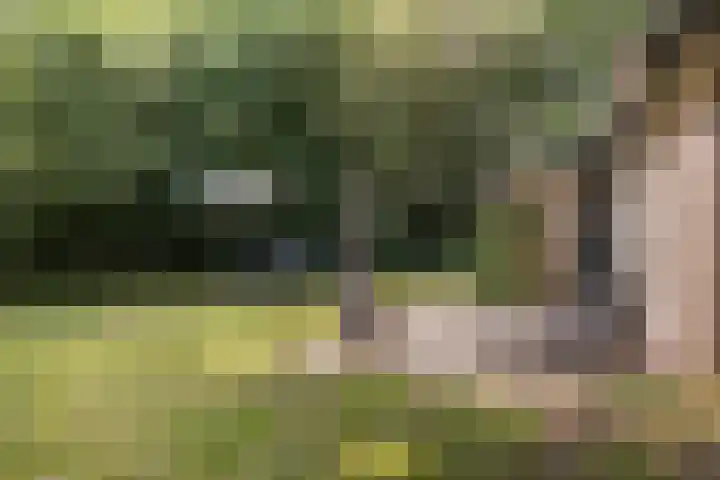 De Oostermaat 38 Westerbork thumbnail 8
