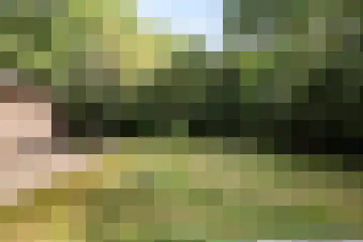 De Oostermaat 38 Westerbork thumbnail 9