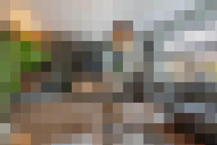 de Oosthoek 28 Marknesse thumbnail 12