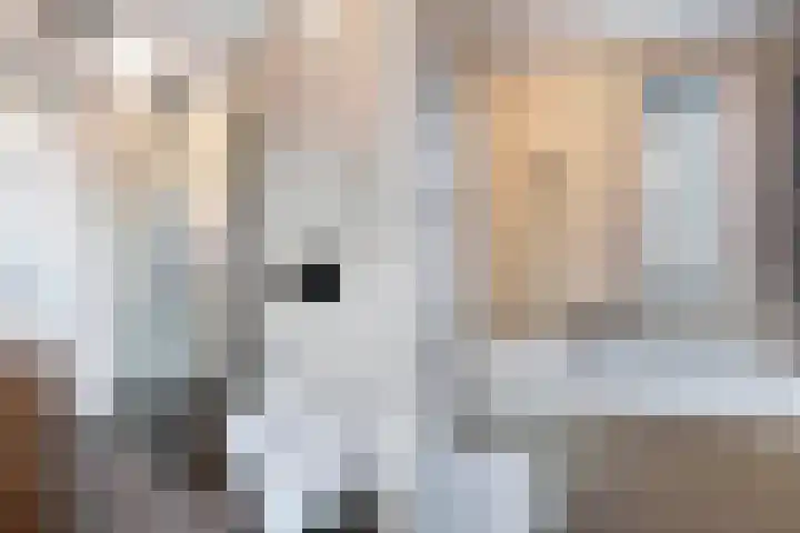 de Oosthoek 28 Marknesse thumbnail 19