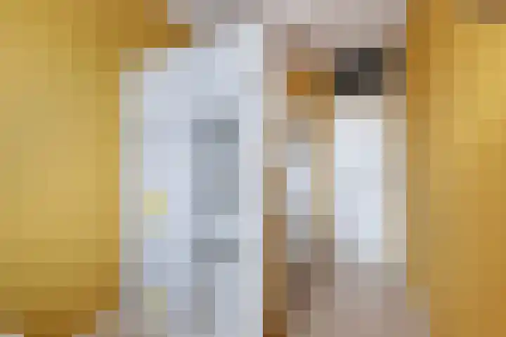 de Oosthoek 28 Marknesse thumbnail 22