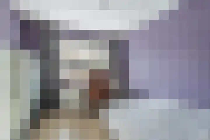 de Oosthoek 28 Marknesse thumbnail 23