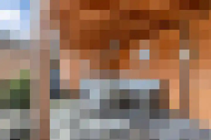 de Oosthoek 28 Marknesse thumbnail 28