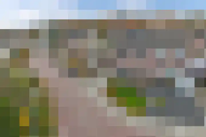 de Oosthoek 28 Marknesse thumbnail 35