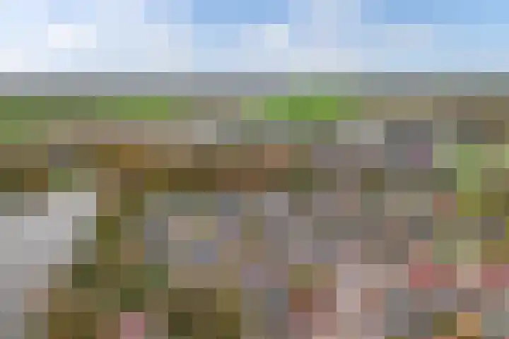 de Oosthoek 28 Marknesse thumbnail 37
