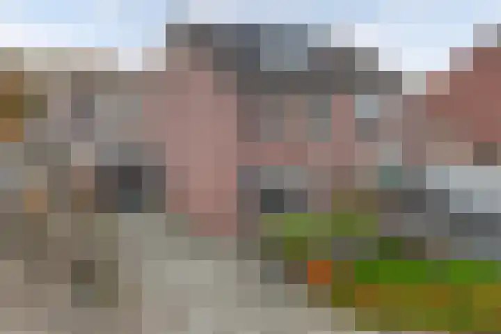de Oosthoek 28 Marknesse thumbnail 38