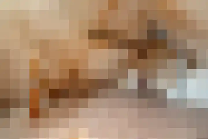 de Oosthoek 3 Marknesse thumbnail 12