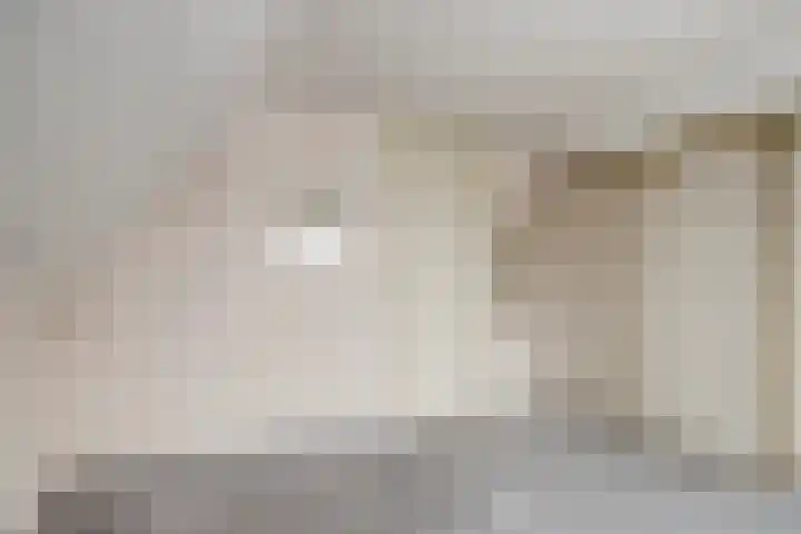 de Oosthoek 3 Marknesse thumbnail 20