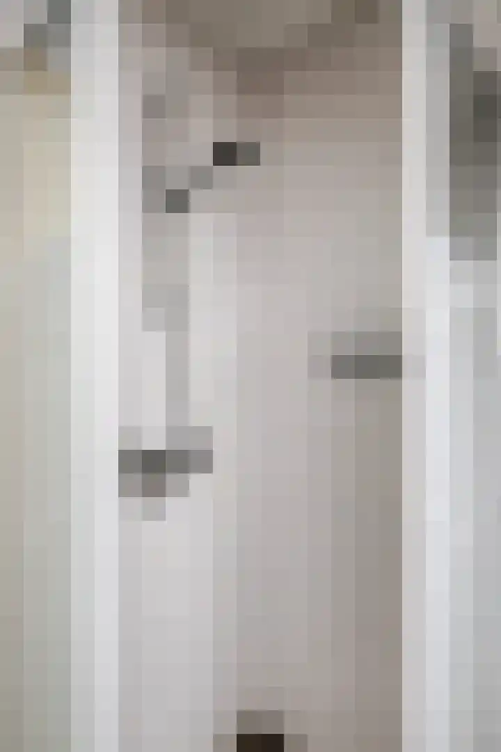 de Oosthoek 3 Marknesse thumbnail 22
