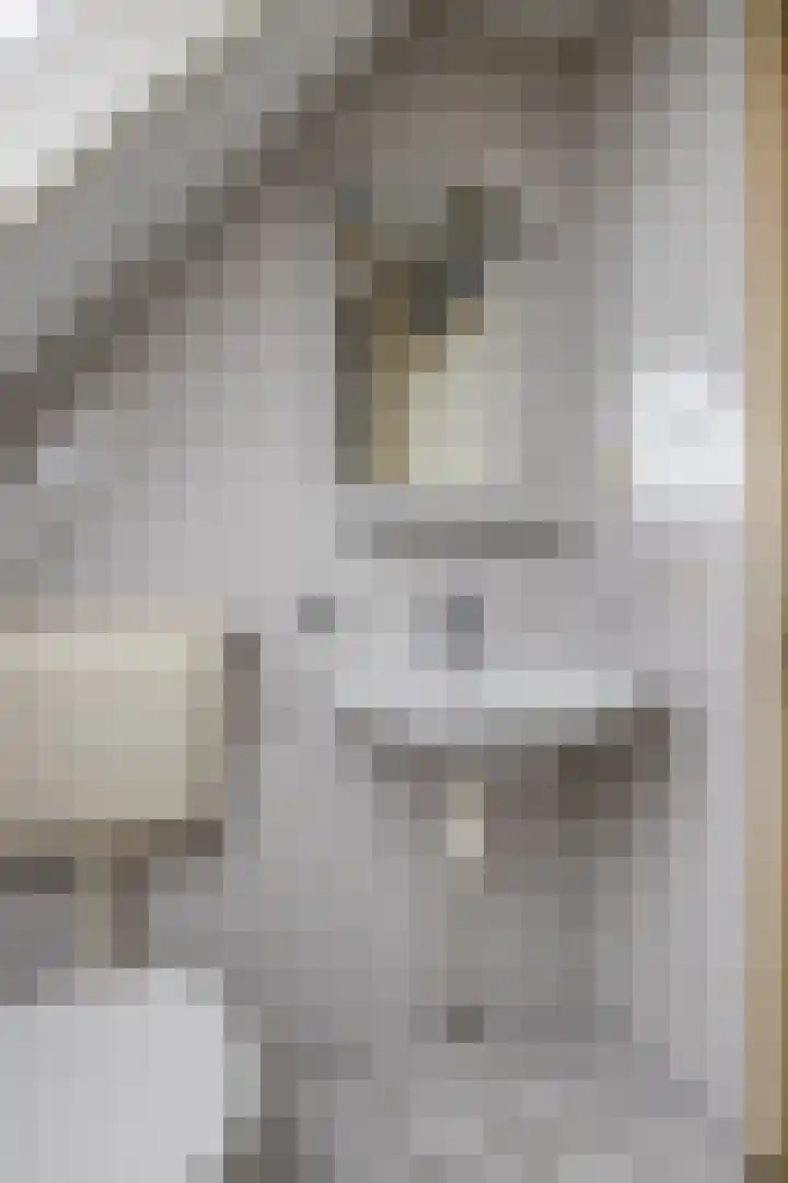de Oosthoek 3 Marknesse thumbnail 23