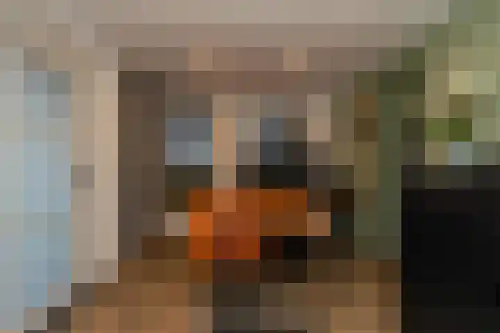 De Oostmaden 7 Hoogeveen thumbnail 18