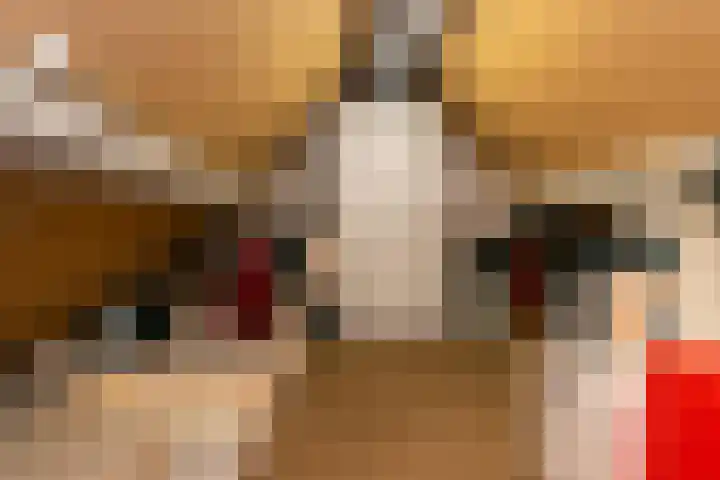 De Oostmaden 7 Hoogeveen thumbnail 34