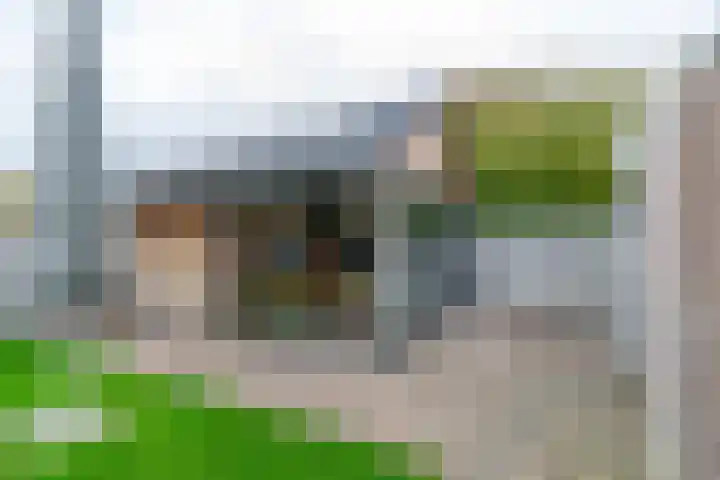 De Oostmaden 7 Hoogeveen thumbnail 38