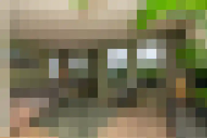 De Oostmaden 7 Hoogeveen thumbnail 4