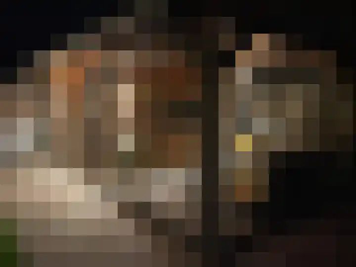De Oostmaden 7 Hoogeveen thumbnail 40