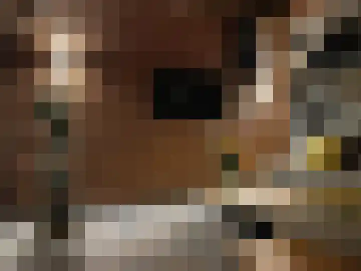 De Oostmaden 7 Hoogeveen thumbnail 41