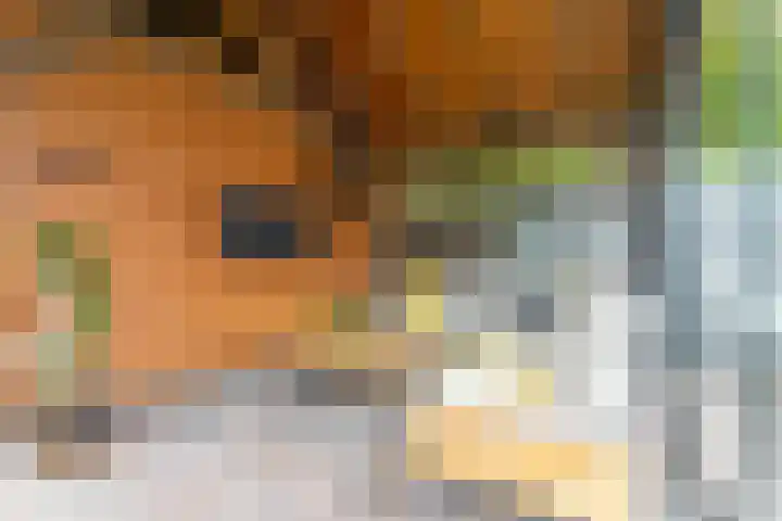 De Oostmaden 7 Hoogeveen thumbnail 42
