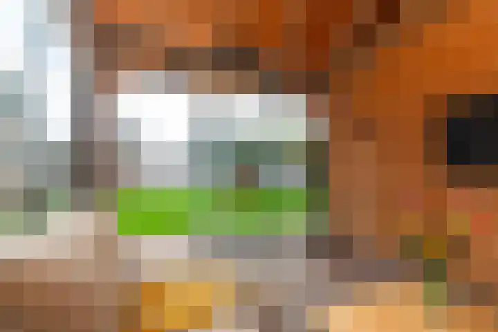 De Oostmaden 7 Hoogeveen thumbnail 46