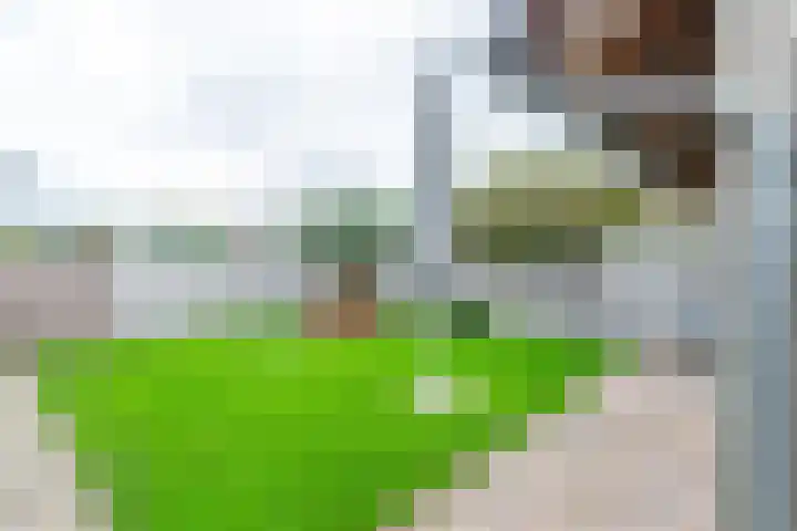 De Oostmaden 7 Hoogeveen thumbnail 49